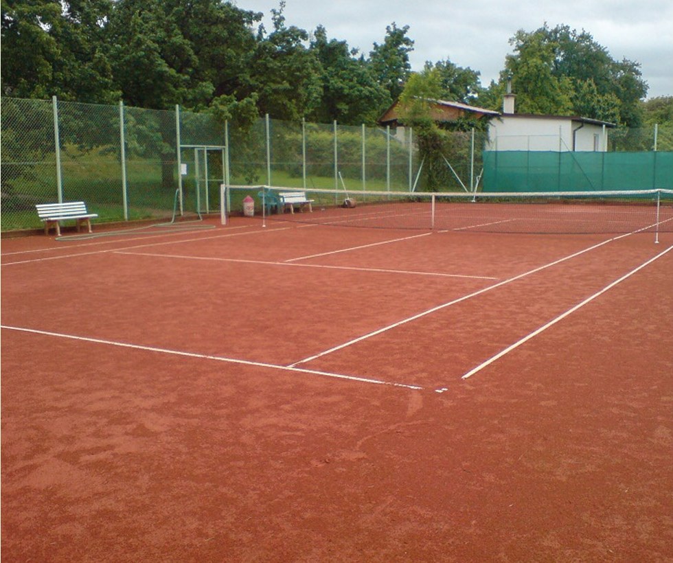 Tenis